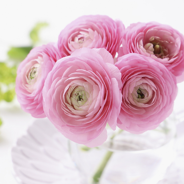 生花