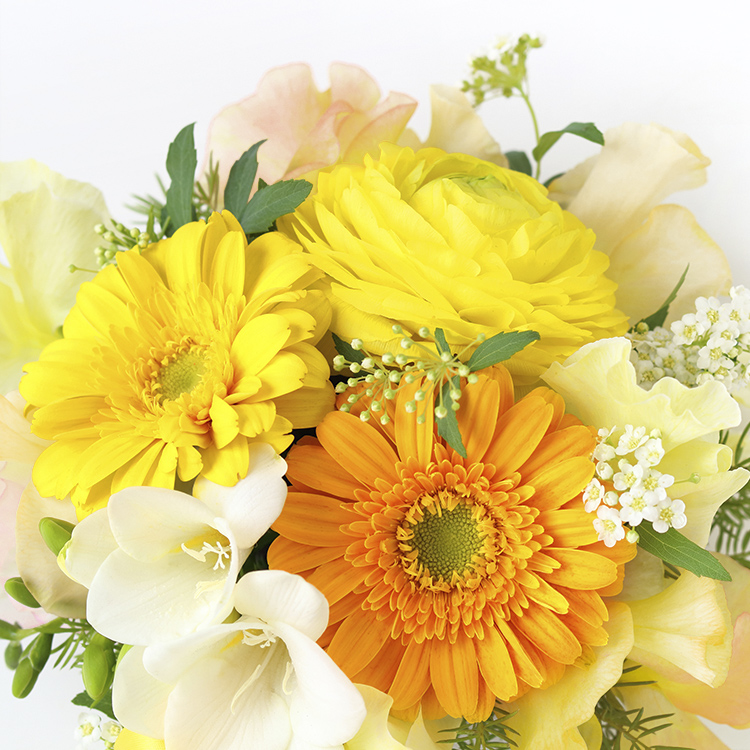 黄色･オレンジ系の花