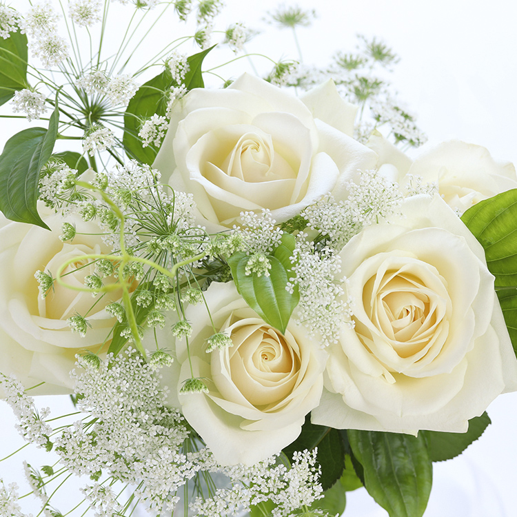 白系の花